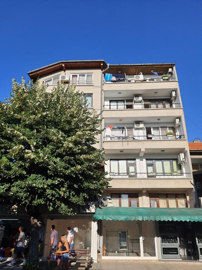 Guest House Kolev - Central 内塞伯尔 外观 照片